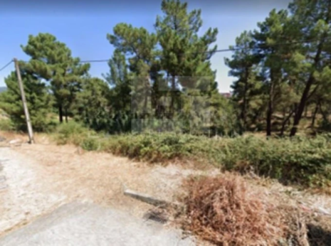 Terreno para Venda em Santa Maria Maior Foto 4