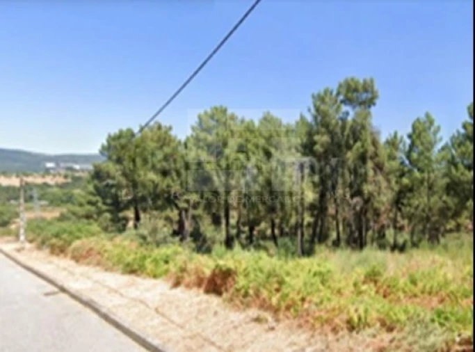 Terreno para Venda em Santa Maria Maior Foto 5