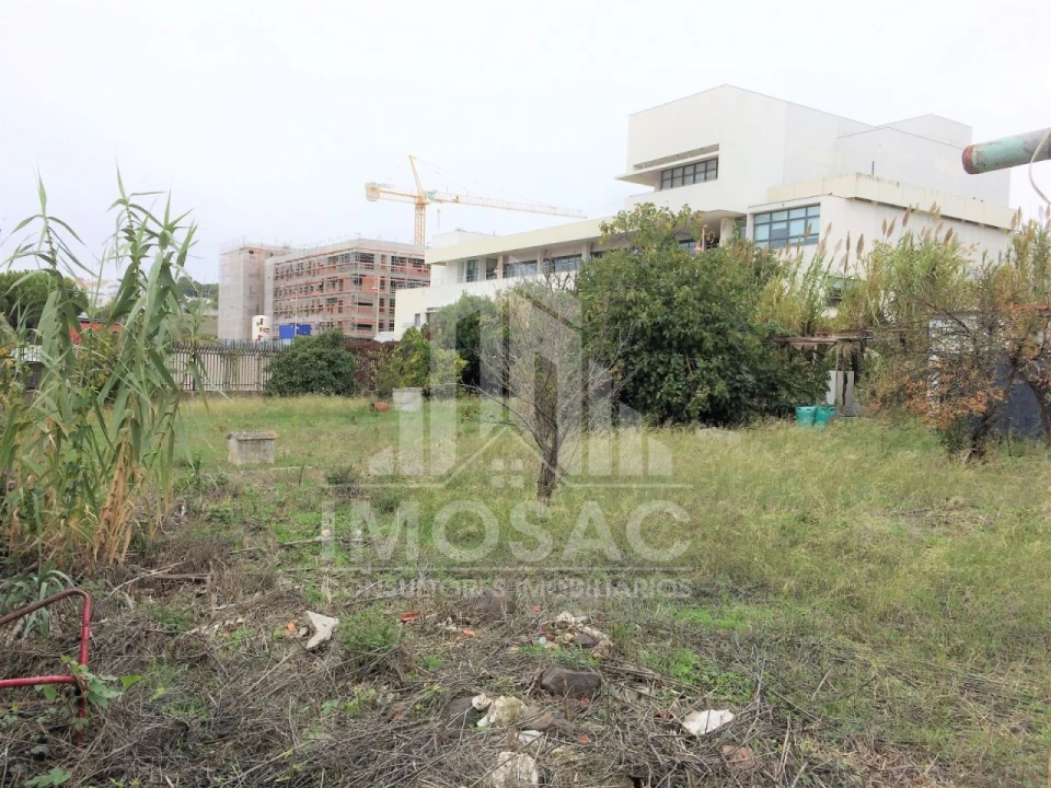 Terreno Agricola ou Rústico para Venda em Ajuda Foto 4