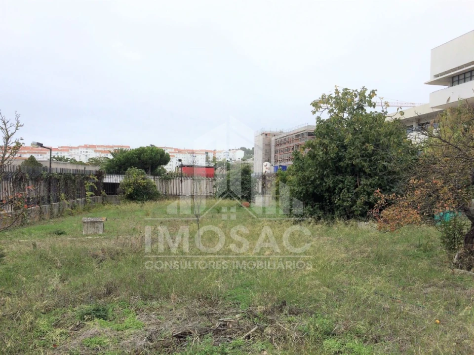 Terreno Agricola ou Rústico para Venda em Ajuda Foto 1