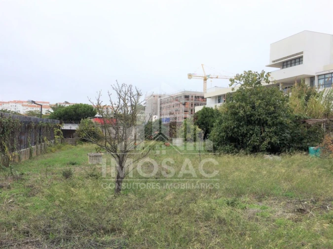 Terreno Agricola ou Rústico para Venda em Ajuda Foto 3