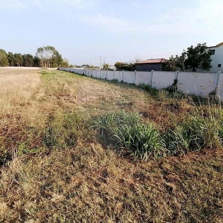 Terreno para Venda em Vagos e Santo António Foto 4