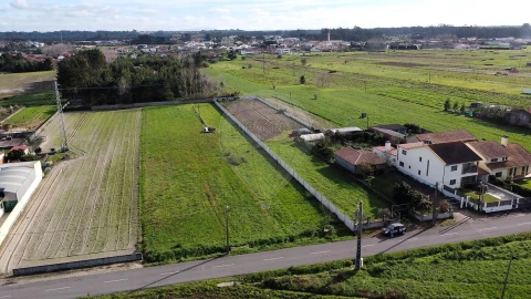 Terreno para Venda em Vagos e Santo António