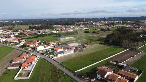 Terreno para Venda em Vagos e Santo António