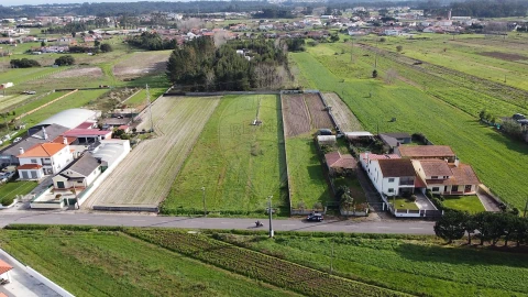Terreno para Venda em Vagos e Santo António