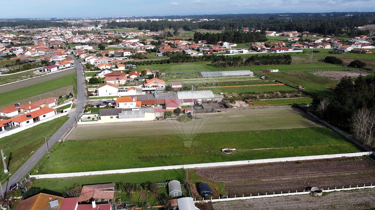 Terreno para Venda em Vagos e Santo António Foto 6
