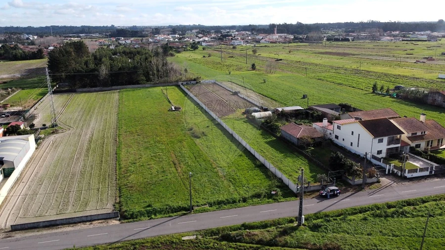 Terreno para Venda em Vagos e Santo António Foto 7