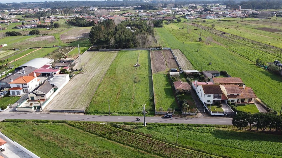 Terreno para Venda em Vagos e Santo António Foto 9