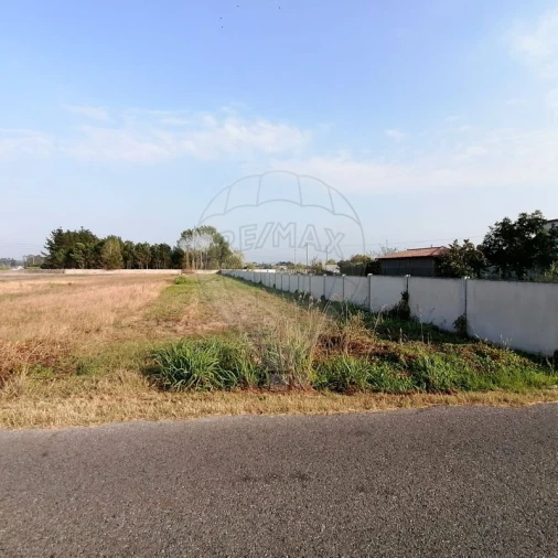 Terreno para Venda em Vagos e Santo António Foto 2