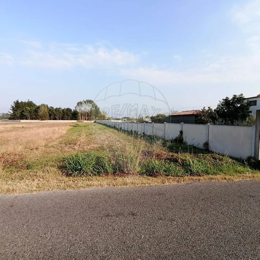 Terreno para Venda em Vagos e Santo António Foto 3
