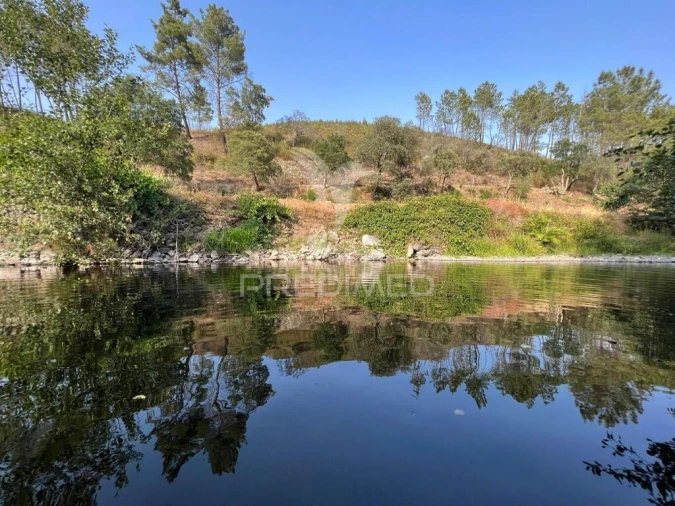 Terreno para Venda em Proença-A-Nova e Peral Foto 1