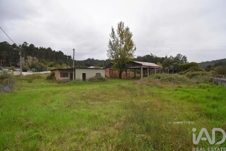 Terreno para Venda em Miranda do Corvo Foto 21