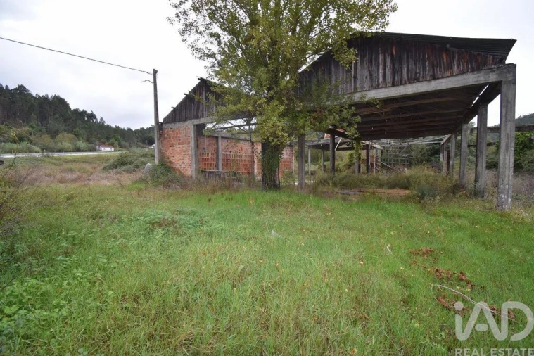 Terreno para Venda em Miranda do Corvo Foto 20
