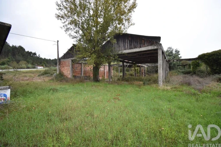 Terreno para Venda em Miranda do Corvo Foto 13