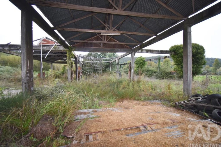 Terreno para Venda em Miranda do Corvo Foto 15