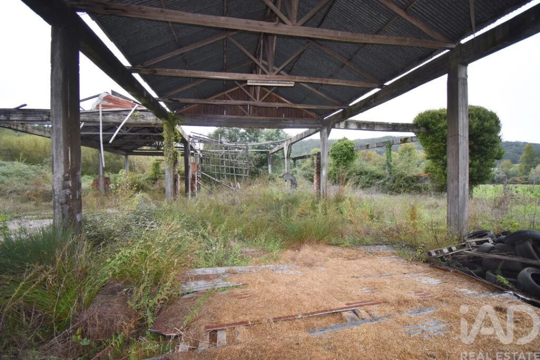 Terreno para Venda em Miranda do Corvo Foto 15