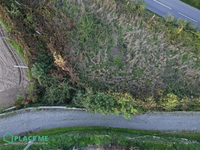 Terreno para Venda em Ferreiros Foto 12