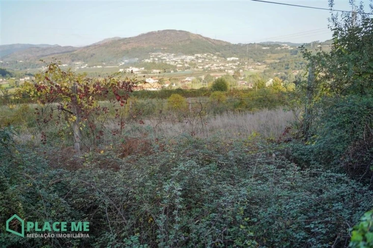 Terreno para Venda em Ferreiros Foto 13