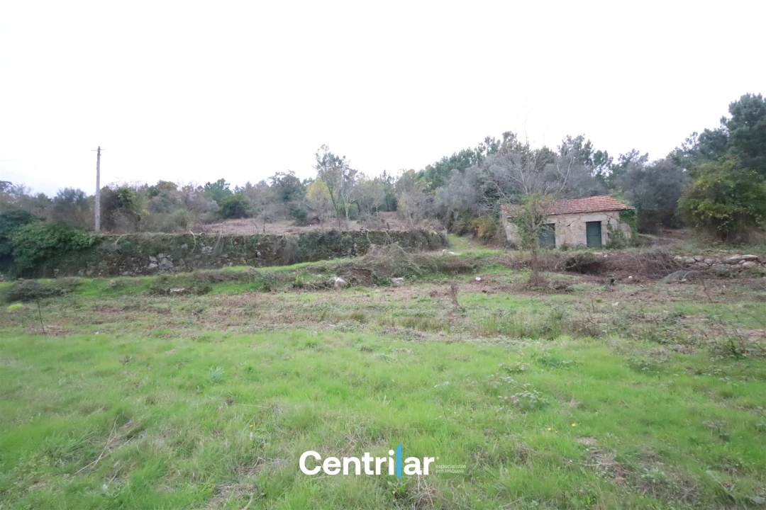 Quinta T2 para Venda em Algodres Foto 5