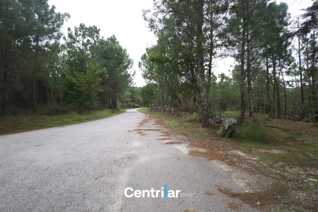 Quinta T2 para Venda em Algodres Foto 10