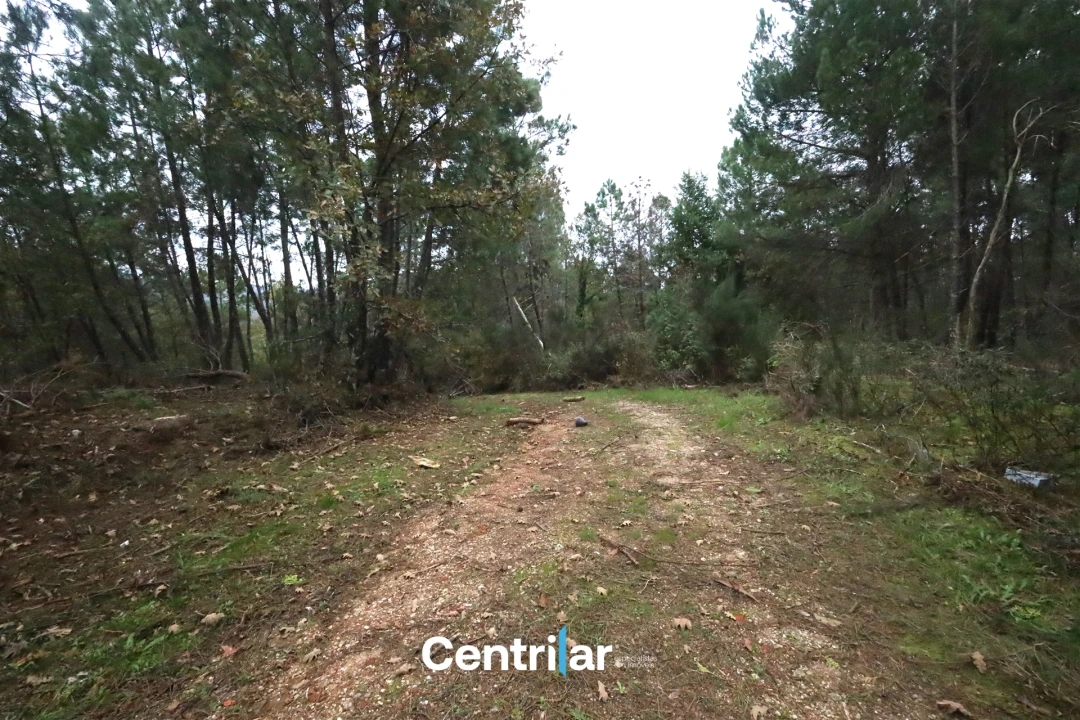 Quinta T2 para Venda em Algodres Foto 11