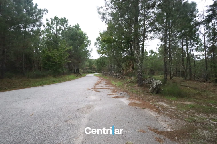 Quinta T2 para Venda em Algodres Foto 10