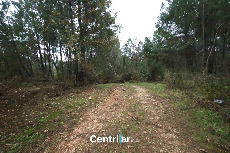 Quinta T2 para Venda em Algodres Foto 11