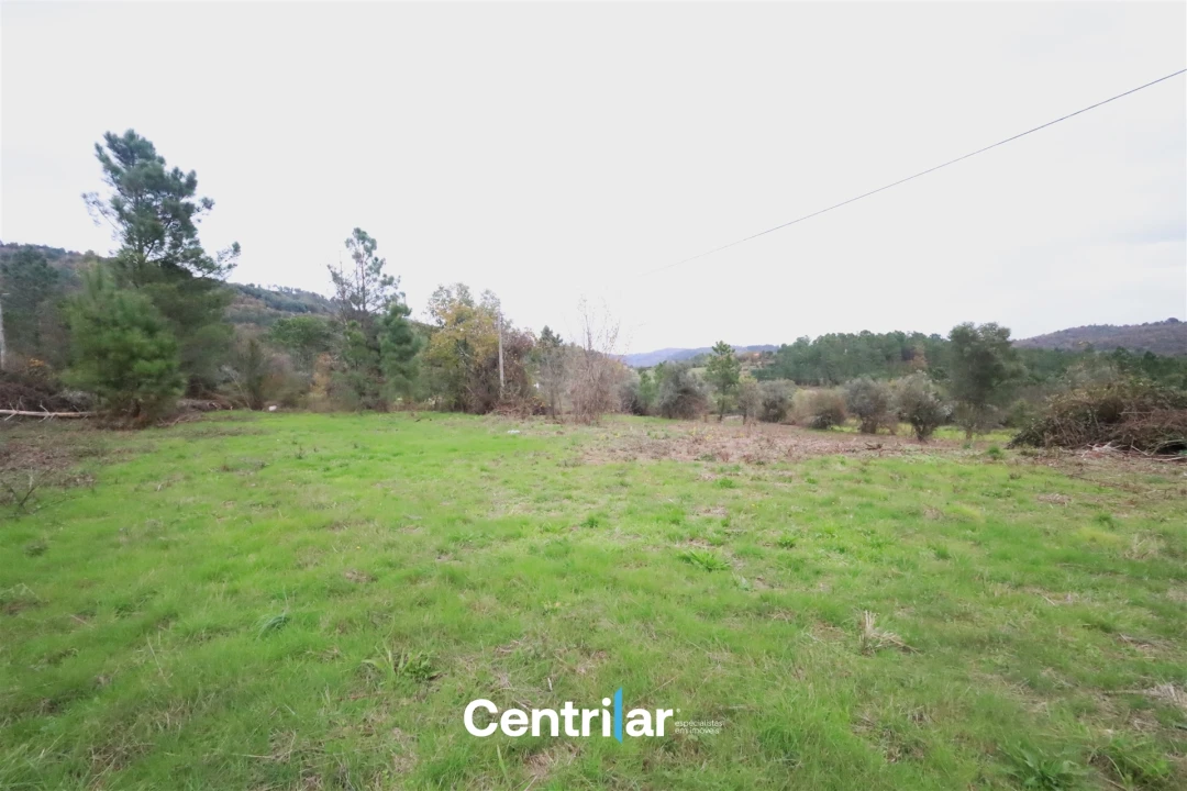 Quinta T2 para Venda em Algodres Foto 3