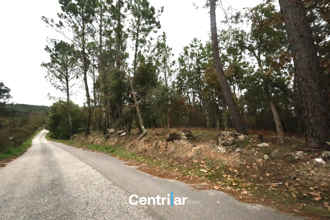 Quinta T2 para Venda em Algodres Foto 12