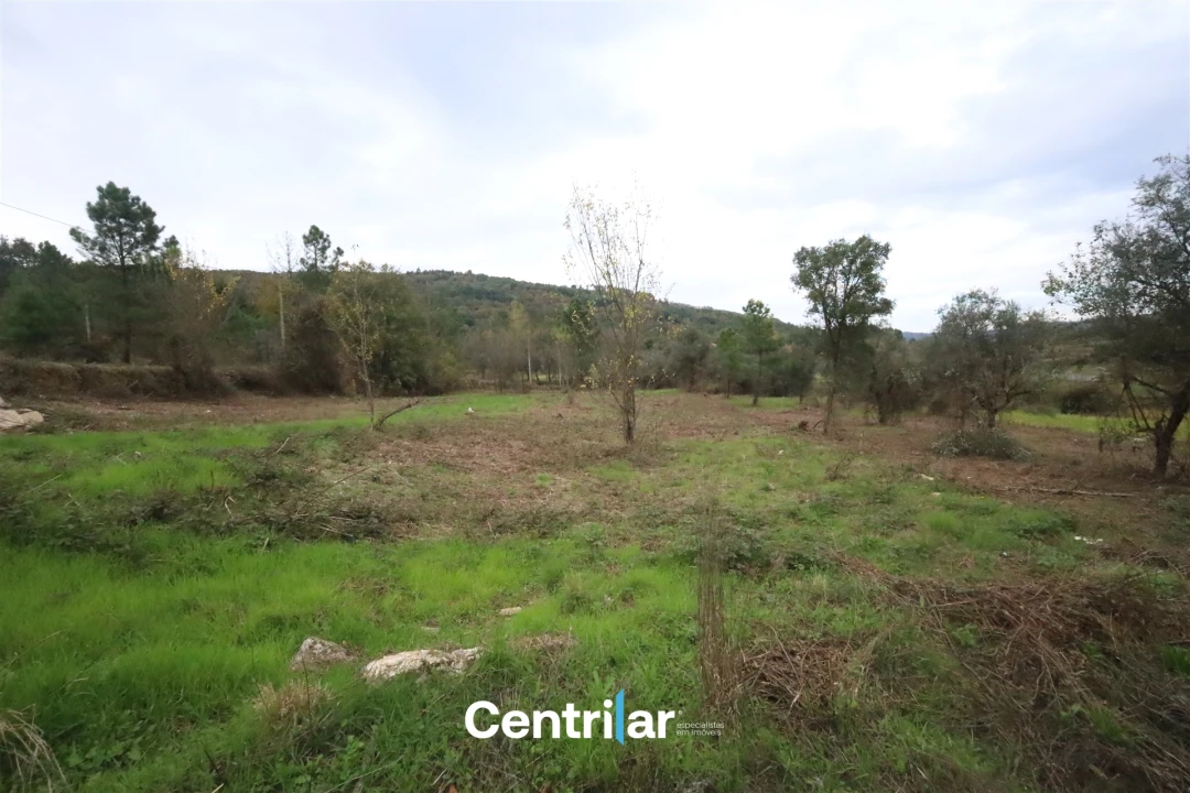 Quinta T2 para Venda em Algodres Foto 7