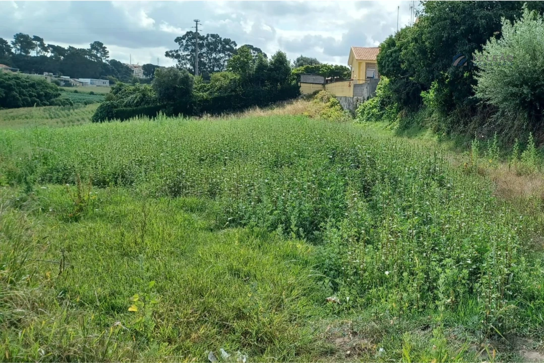 Terreno Misto para Venda em Custóias, Leça do Balio e Guifões Foto 1
