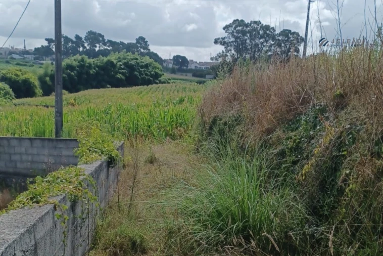 Terreno Misto para Venda em Custóias, Leça do Balio e Guifões Foto 7