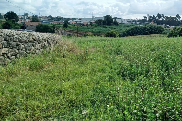 Terreno Misto para Venda em Custóias, Leça do Balio e Guifões Foto 3