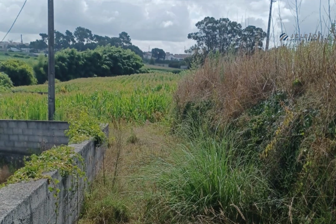 Terreno Misto para Venda em Custóias, Leça do Balio e Guifões Foto 7