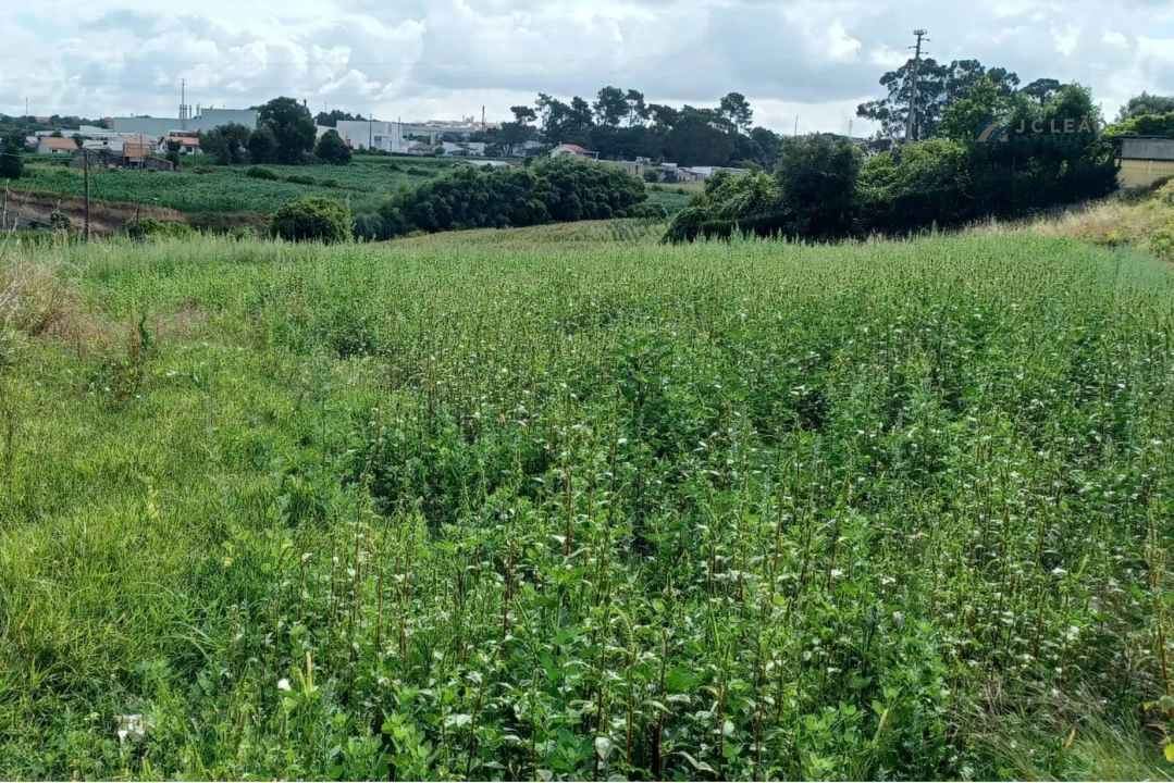 Terreno Misto para Venda em Custóias, Leça do Balio e Guifões Foto 5