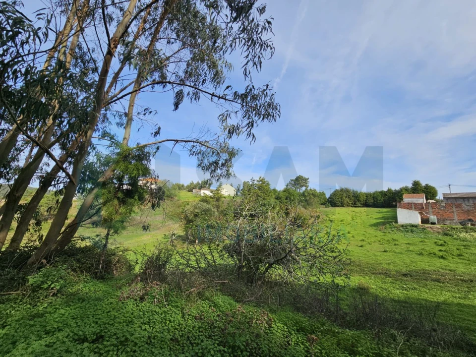 Moradia T3 para Venda em Santa Maria, São Pedro e Matacães Foto 33