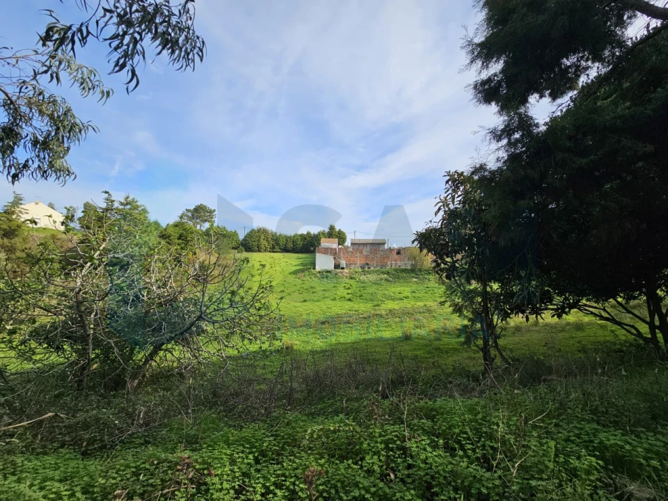 Moradia T3 para Venda em Santa Maria, São Pedro e Matacães Foto 3