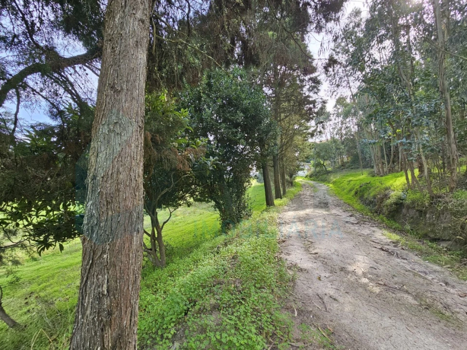Moradia T3 para Venda em Santa Maria, São Pedro e Matacães Foto 34