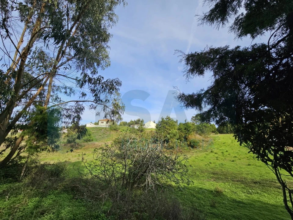Moradia T3 para Venda em Santa Maria, São Pedro e Matacães Foto 35