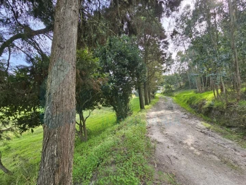 Moradia T3 para Venda em Santa Maria, São Pedro e Matacães