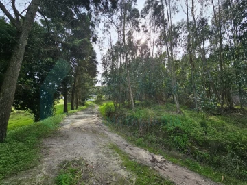 Moradia T3 para Venda em Santa Maria, São Pedro e Matacães