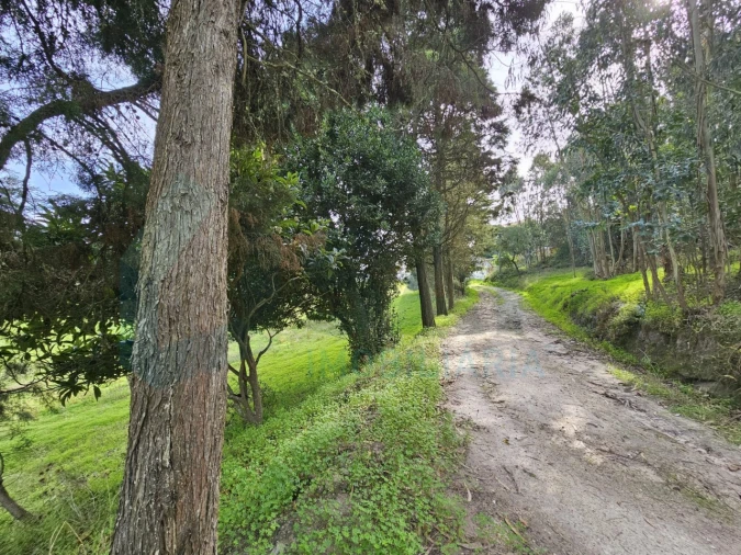 Moradia T3 para Venda em Santa Maria, São Pedro e Matacães Foto 34
