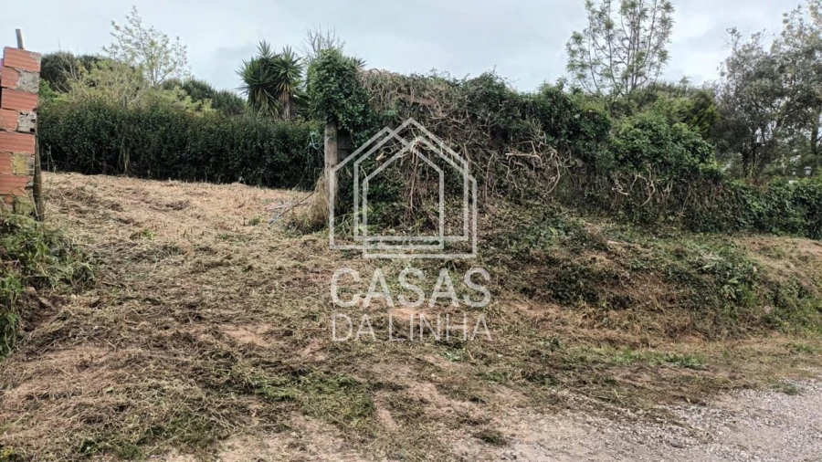 Terreno para Venda em Santo Quintino Foto 11