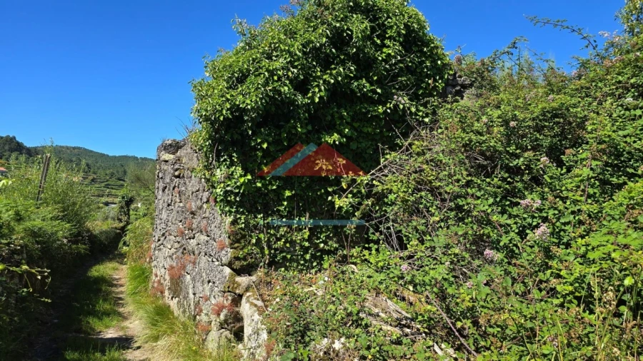 Terreno para Venda em Tangil Foto 11
