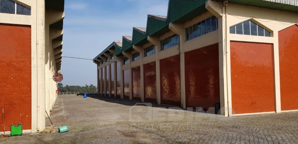 Armazém para Arrendamento em Fiães Foto 5