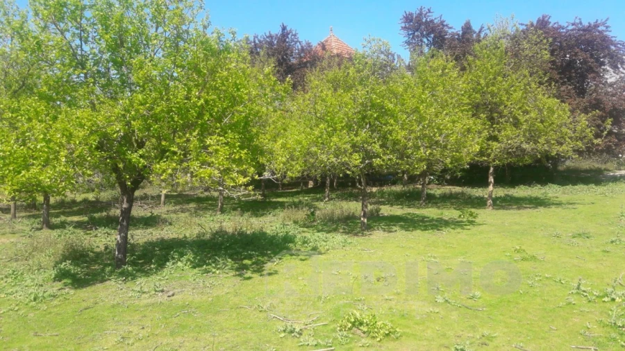 Terreno para Venda em Lourosa Foto 4