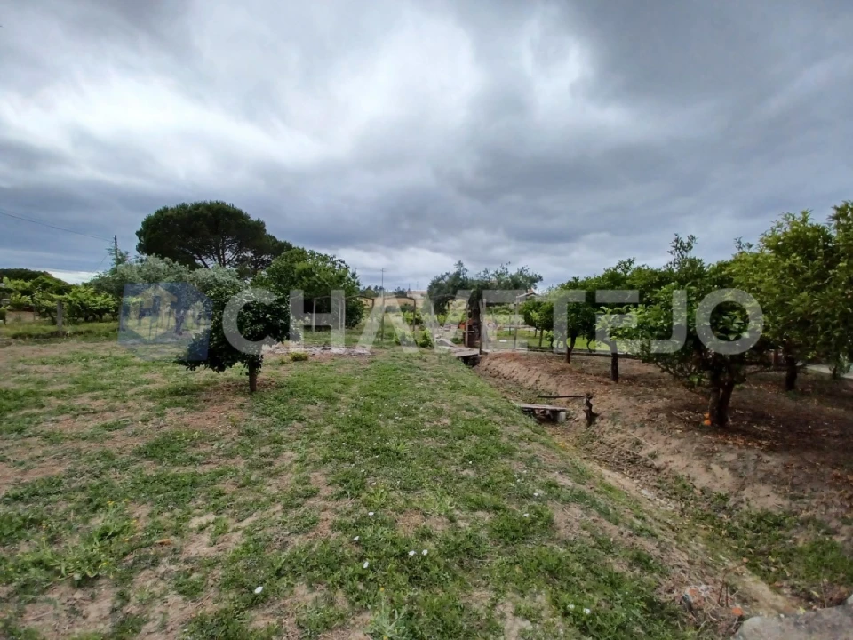 Moradia T3 para Venda em Casais e Alviobeira Foto 14