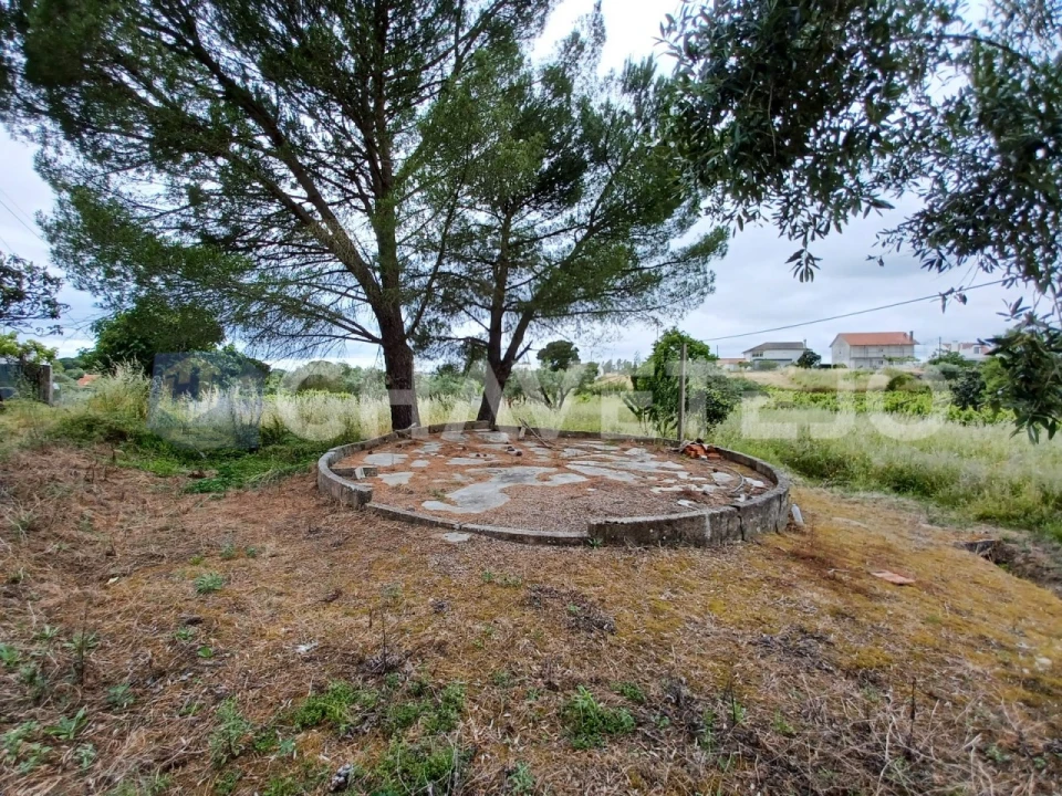 Moradia T3 para Venda em Casais e Alviobeira Foto 15