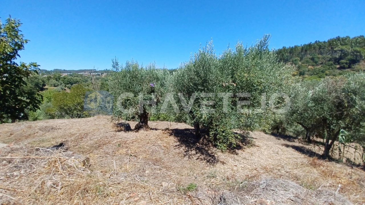 Moradia T3 para Venda em Casais e Alviobeira Foto 10