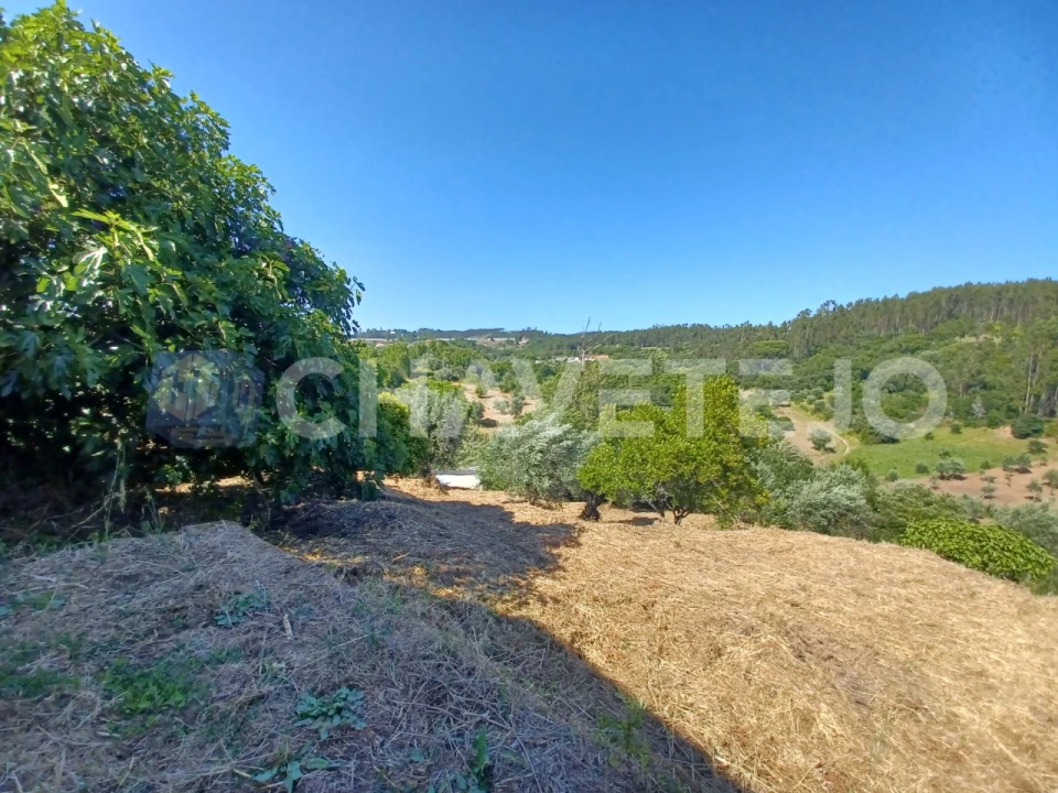 Moradia T3 para Venda em Casais e Alviobeira Foto 47